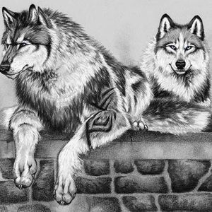 Meet your Posher, Amie