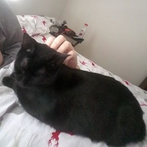 Meet your Posher, Ian