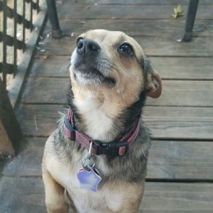 Meet your Posher, Crys