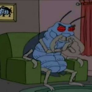 Meet your Posher, Seth