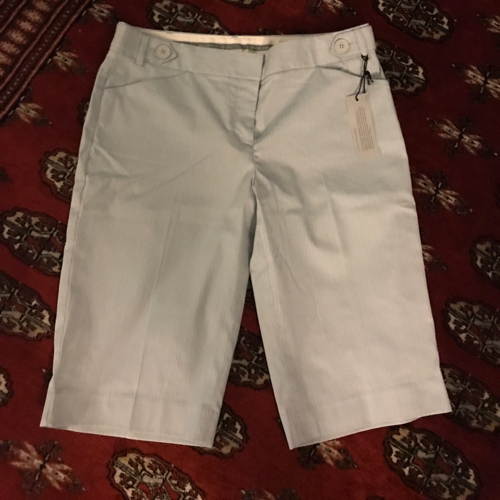 NWT Express Bermuda Short