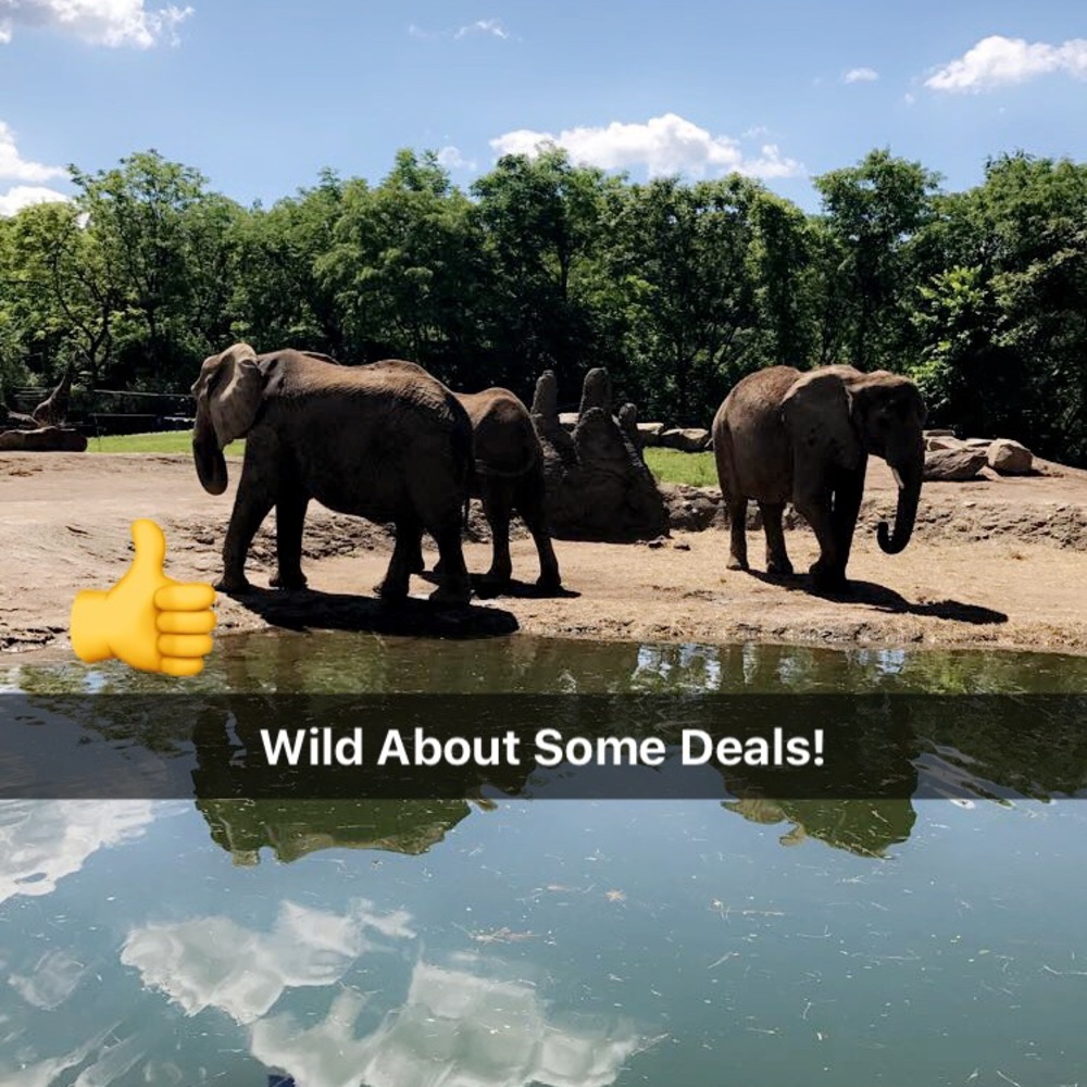 Let's Make A Deal!