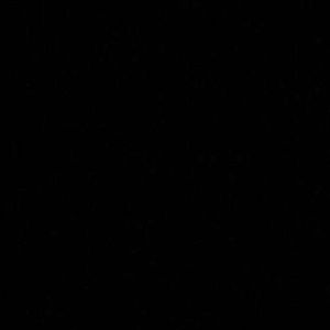 Meet your Posher, Deanna