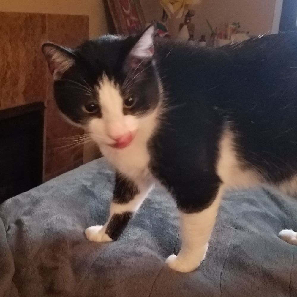 Meet your Posher, Cheri