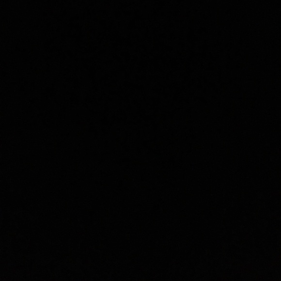 Meet your Posher, Riley - Picture 1 of 1