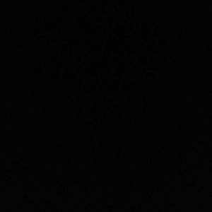 Meet your Posher, Riley