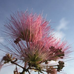 Meet your Posher, Janina