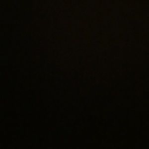 Meet your Posher, Lonnie