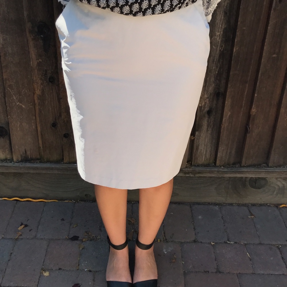 H&M Nylon Back Zip Pencil Skirt