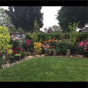 Meet your Posher, Suong