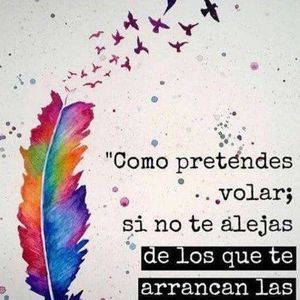 Meet your Posher, Natasha