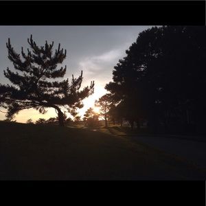 Meet your Posher, Margo