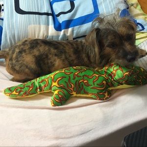 Meet your Posher, Lily