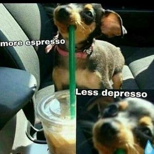 Meet your Posher, Hogan