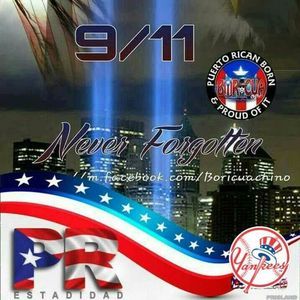 Meet your Posher, Sammy