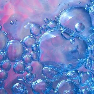 Meet your Posher, Abbey