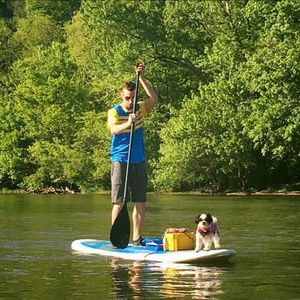 Meet your Posher, David