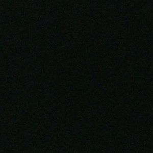 Meet your Posher, Misty