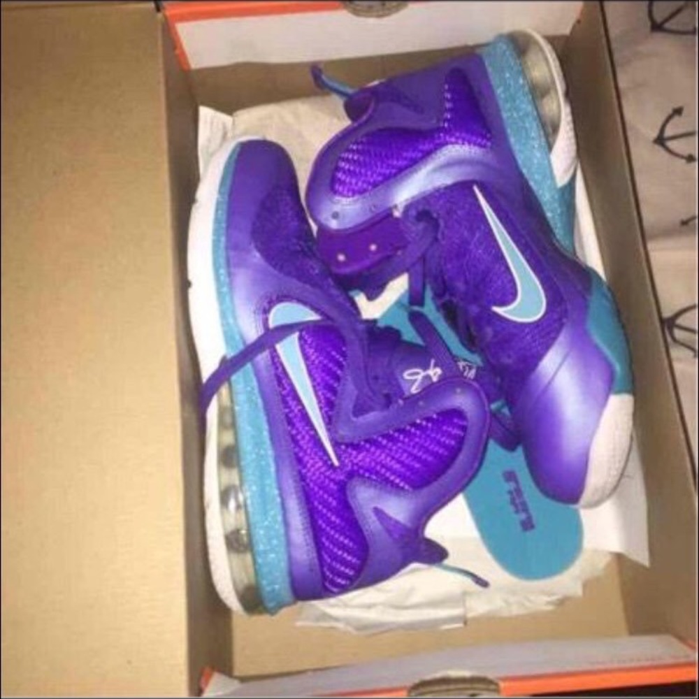 Hornets lebron 9s