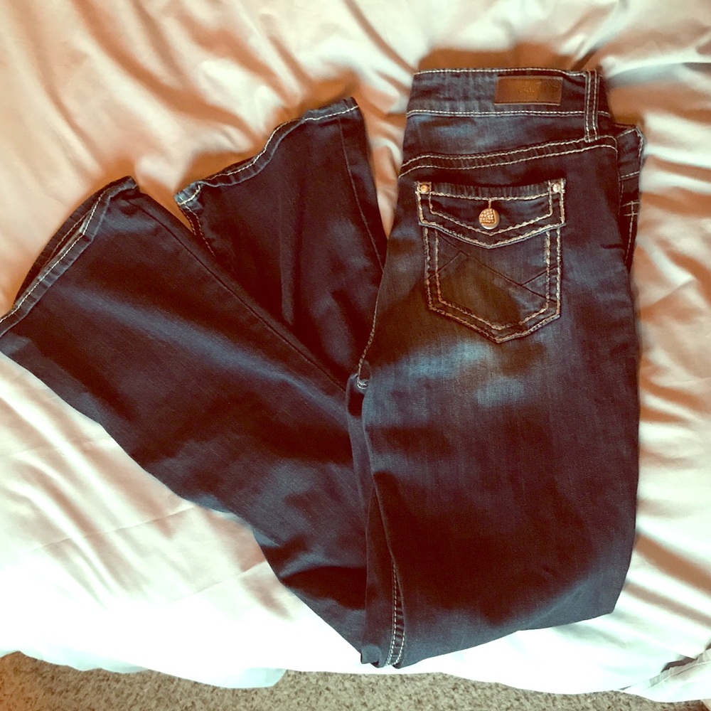 Daytrip lynx bootcut 31 long