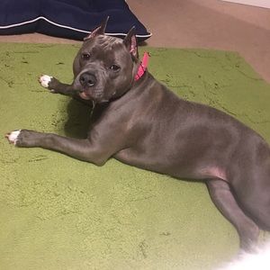 Meet your Posher, Raymond