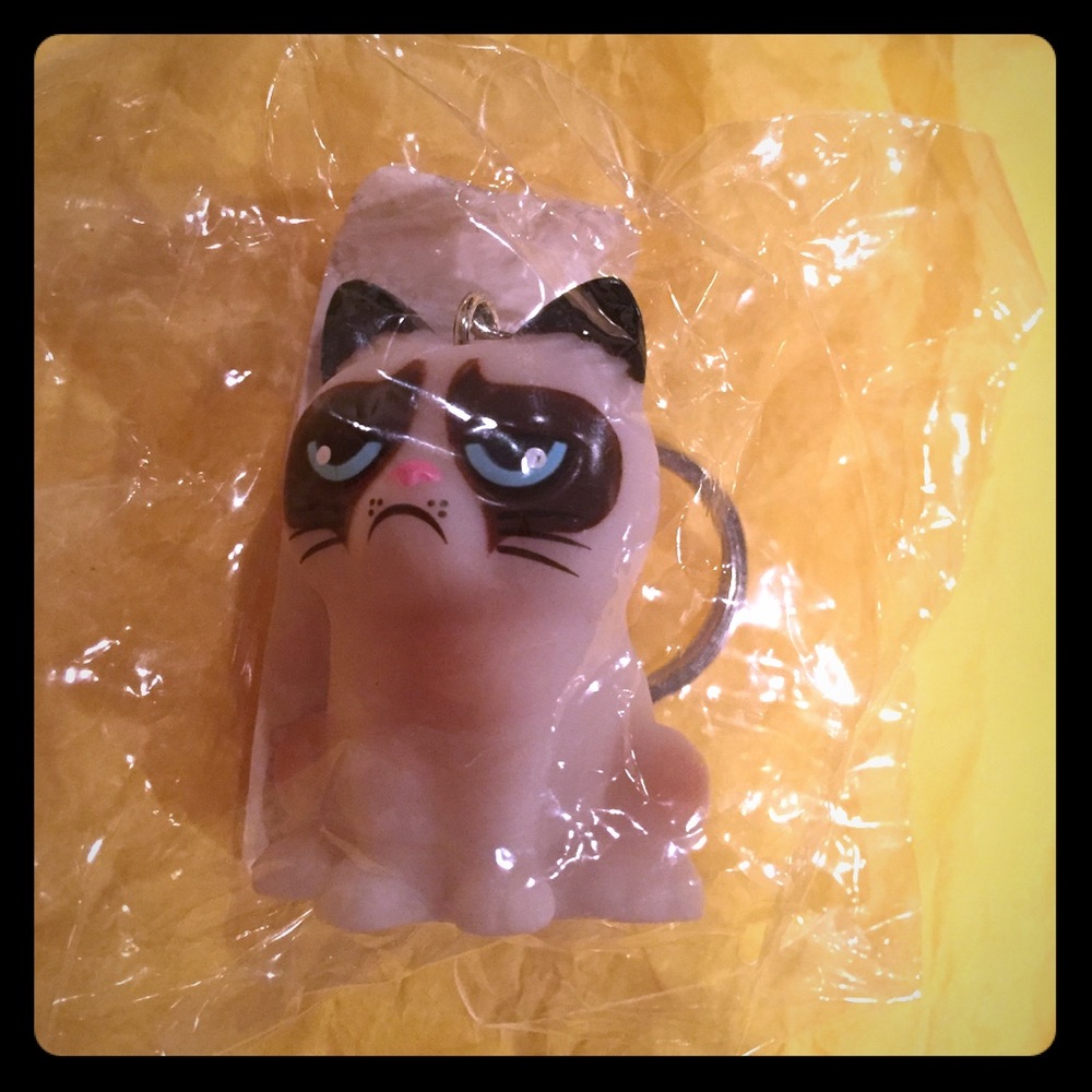Grump Cat GANZ limited edition keychain NIP