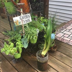 Meet your Posher, Kerri