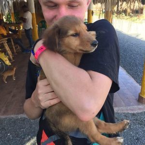 Meet your Posher, Jarid