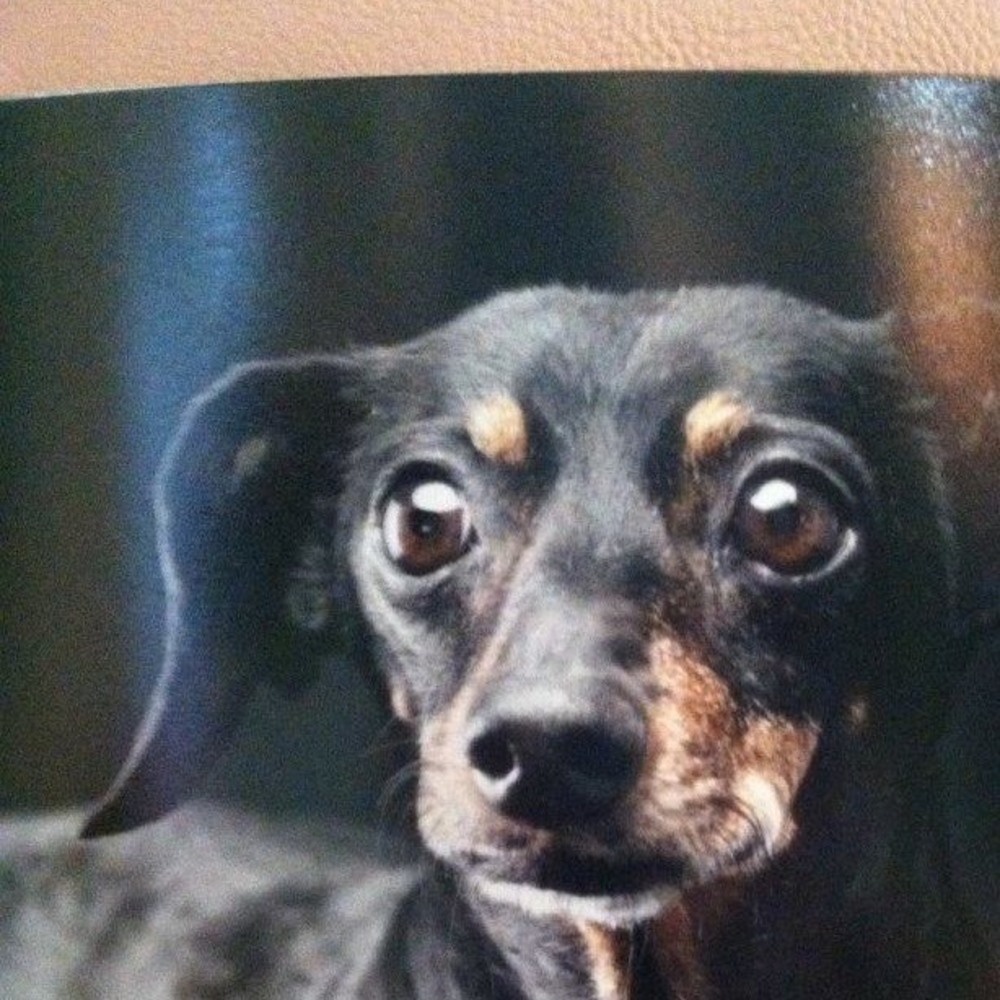 Meet your Posher, Ana