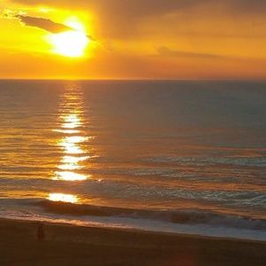 Meet your Posher, Michele