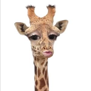 Meet your Posher, Jared