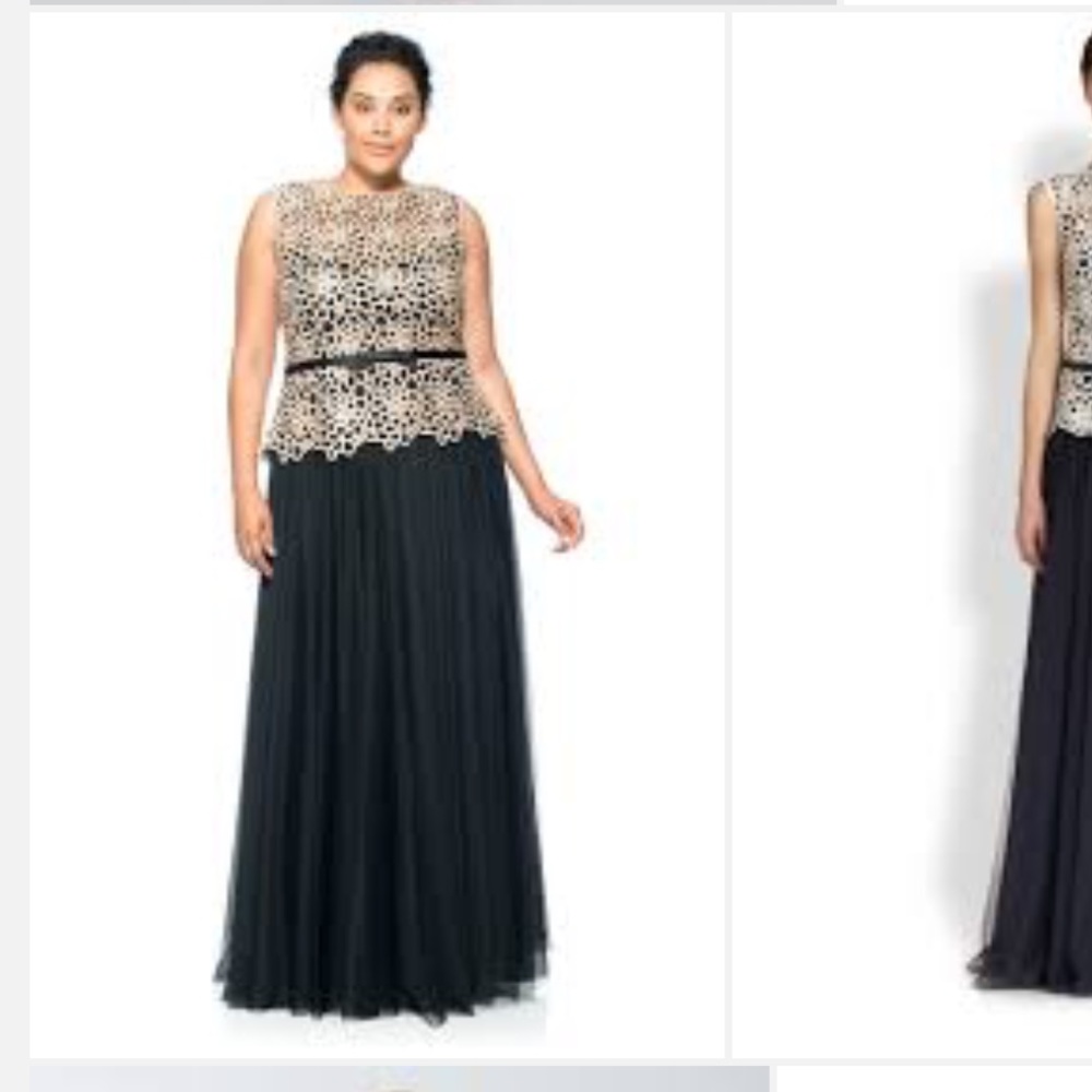 Tadashi guipure lace and chiffon gown