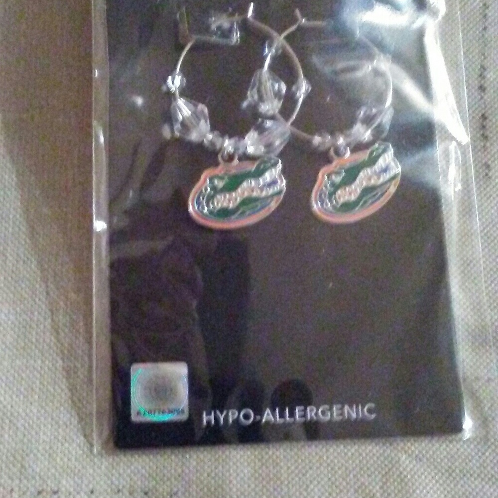 Florida Gators Earrings