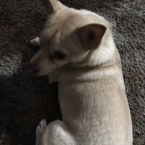 Meet your Posher, Kerry