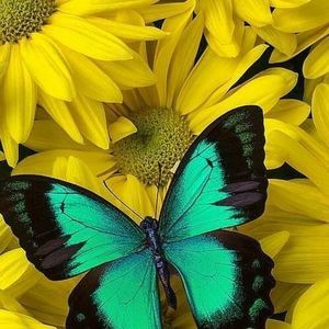 Meet your Posher, Tina