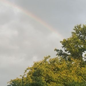 Meet your Posher, Patty