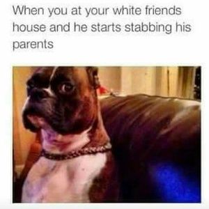 Meet your Posher, Sheldon