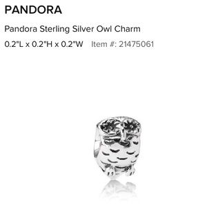 Owl pandora charm