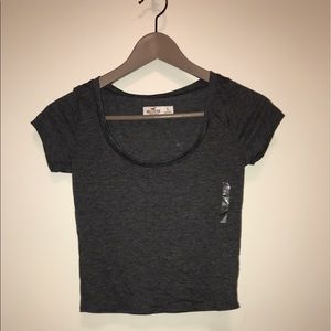 Hollister crop