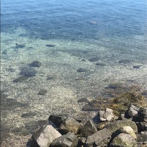 Meet your Posher, Alexsandra