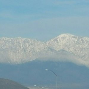 Meet your Posher, Martha