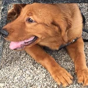 Meet your Posher, Randy