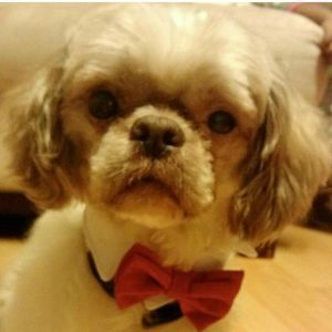 Meet your Posher, Sydrena