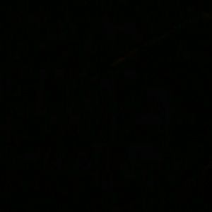 Meet your Posher, Riley