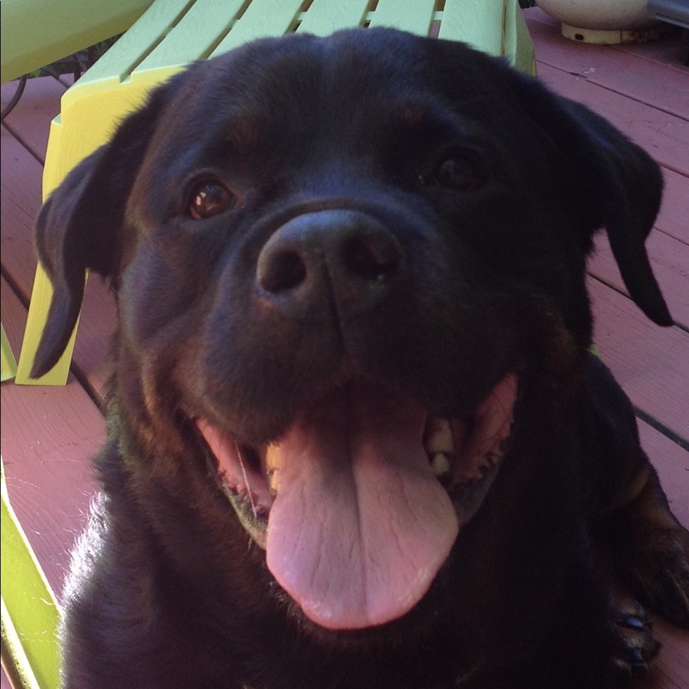 Meet your Posher, Sean