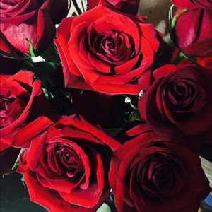 Meet your Posher, Natalie