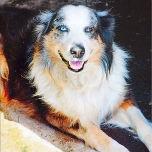 Meet your Posher, Patrick