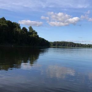 Meet your Posher, Daisy