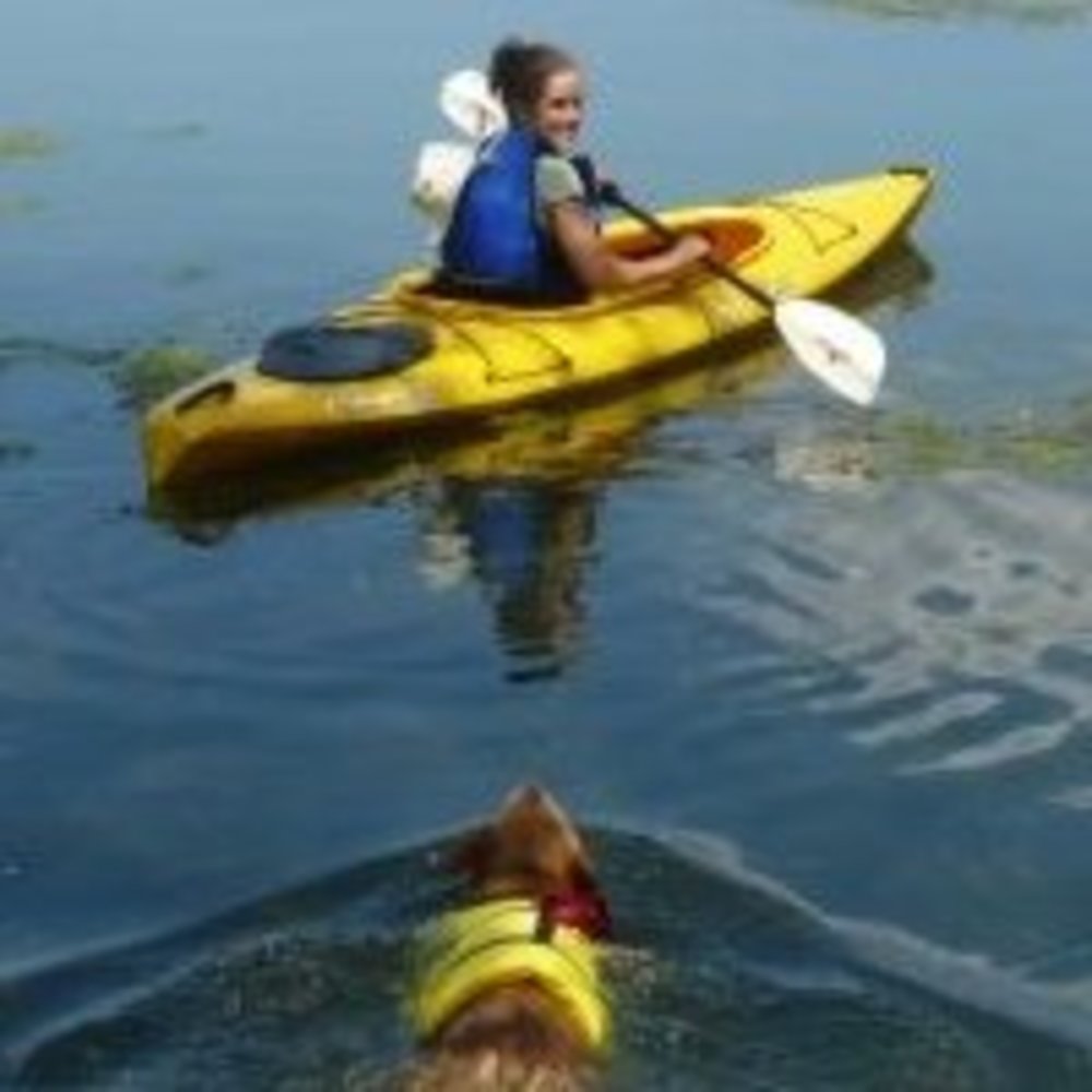 Meet your Posher, Cyn