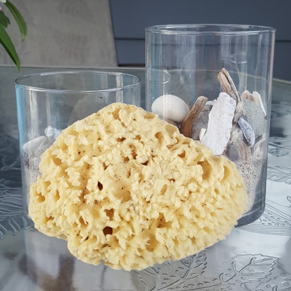 Wool Sponge